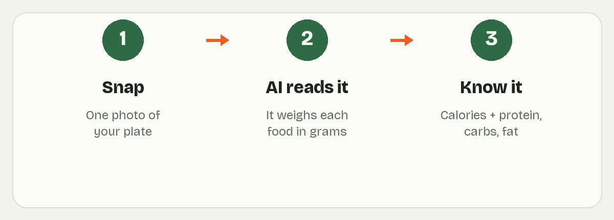 Snap, the AI reads your plate, then you see calories and macros